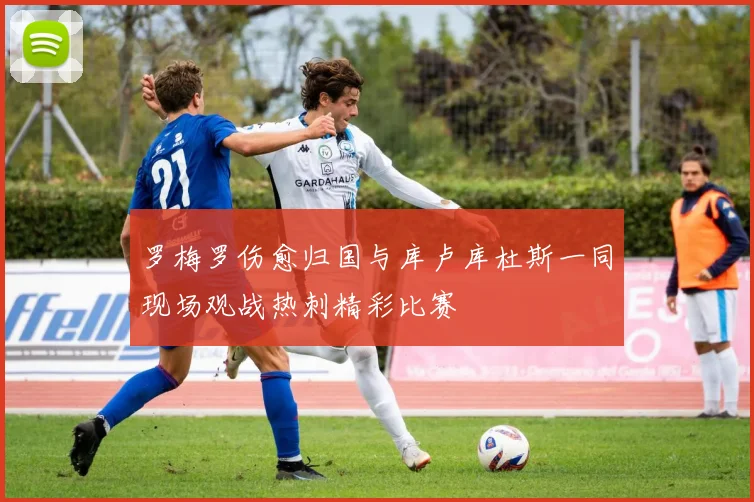 罗梅罗伤愈归国与库卢库杜斯一同现场观战热刺精彩比赛